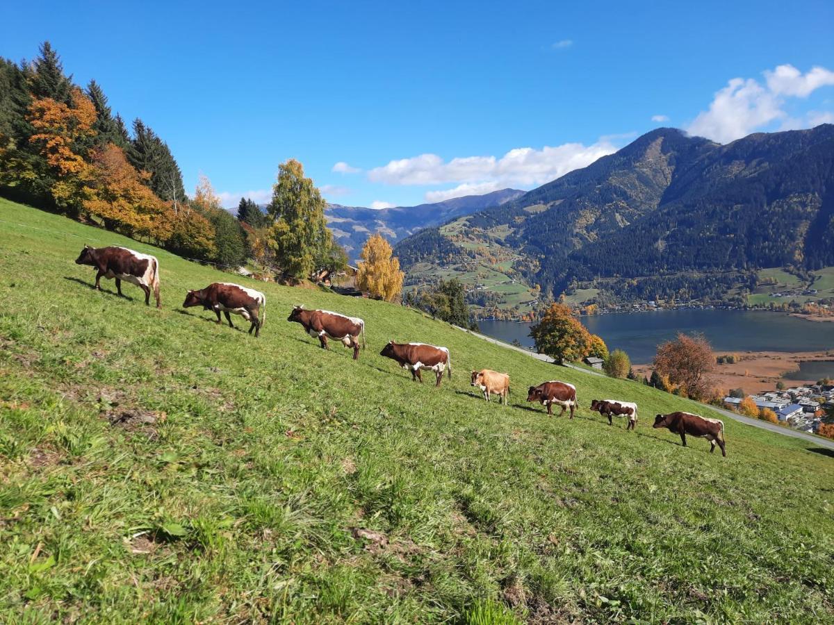 Bio-Bergbauernhof Hubgut Villa Zell am See Eksteriør bilde