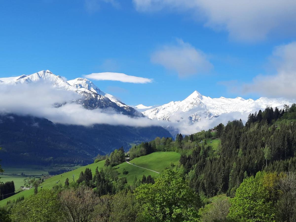Bio-Bergbauernhof Hubgut Villa Zell am See Eksteriør bilde