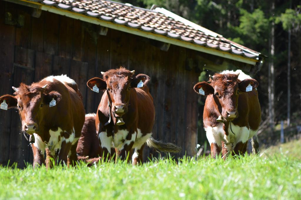 Bio-Bergbauernhof Hubgut Villa Zell am See Eksteriør bilde