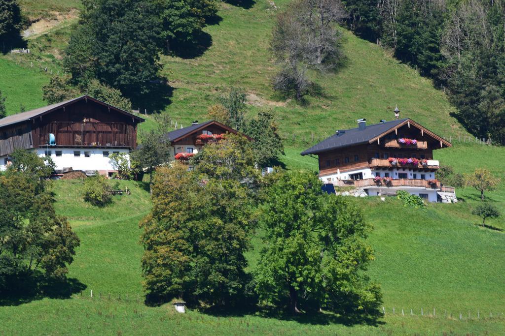 Bio-Bergbauernhof Hubgut Villa Zell am See Eksteriør bilde